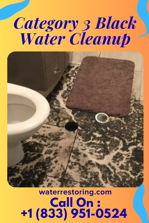 Category 3 Black Water Cleanup in Starke, FL