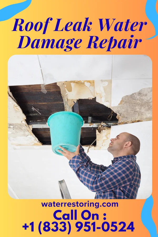 Roof Leak Water Damage Repair in Starke, FL
